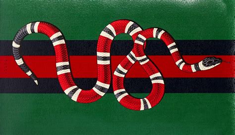 gucci snake skin|why does Gucci use snake.